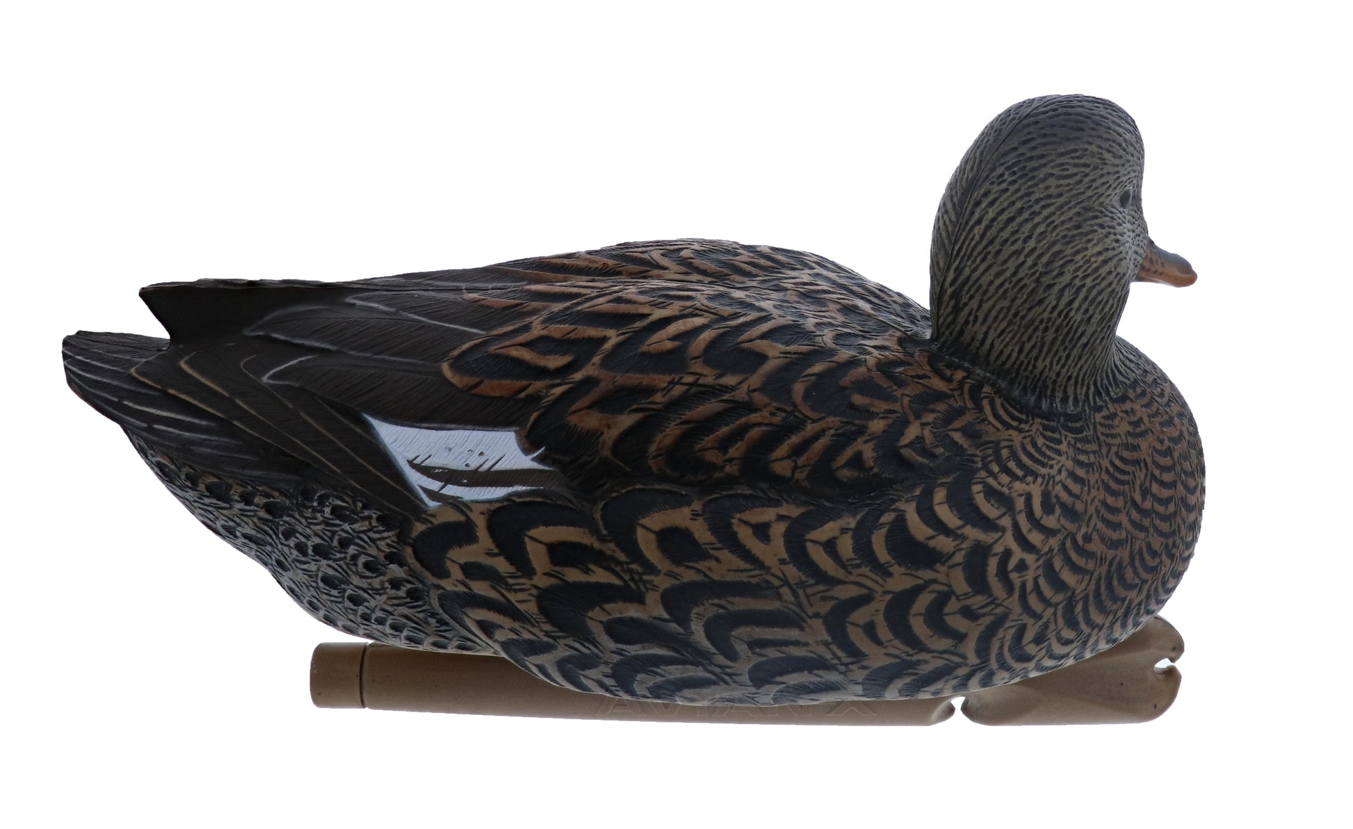 Avian X Top Flight Gadwall Duck Decoy, AVX8085