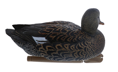 Avian X Top Flight Gadwall Duck Decoy, AVX8085