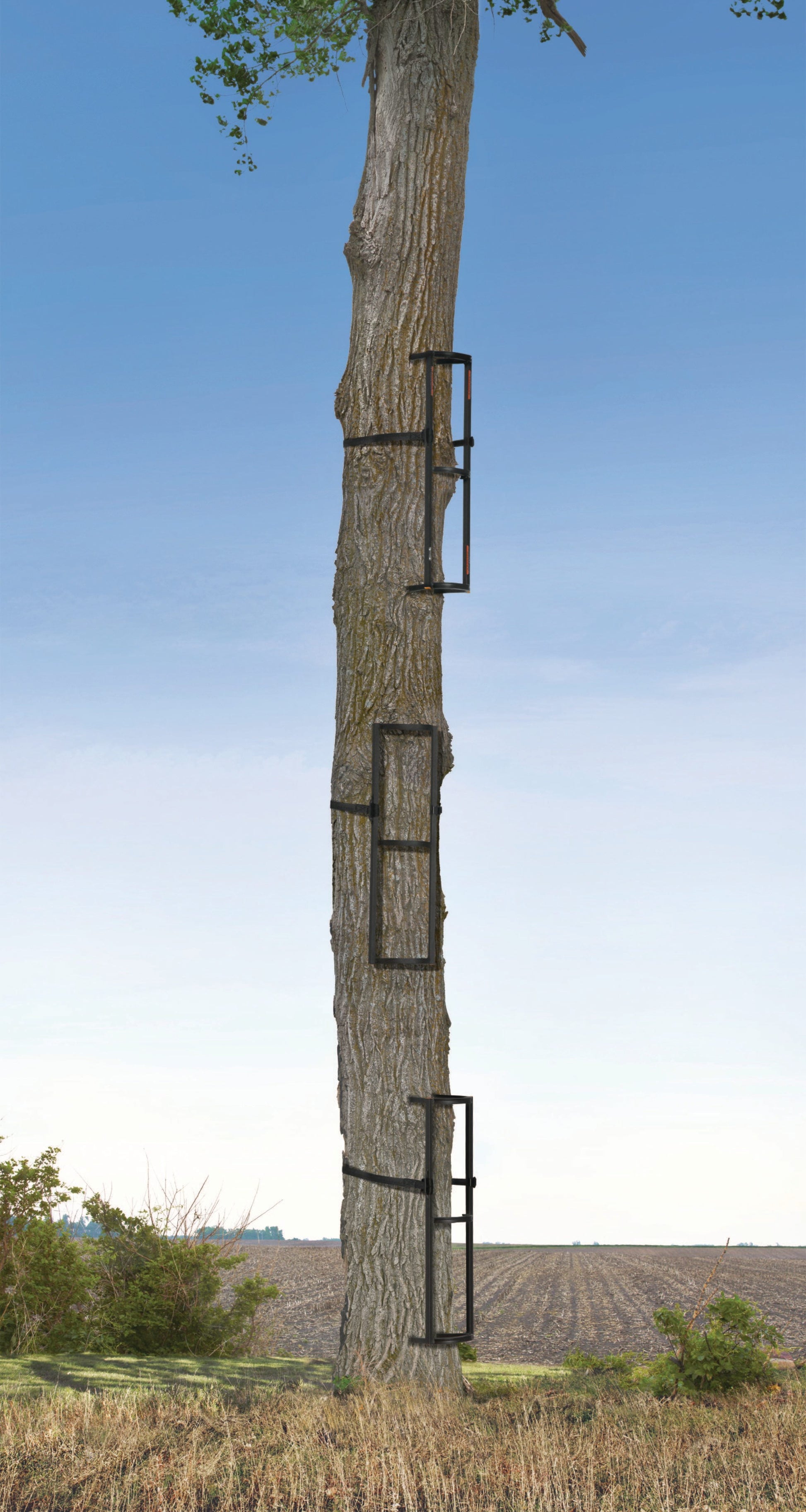 Outdoors Stagger Steps Packable Rock Solid Ladder System, Black