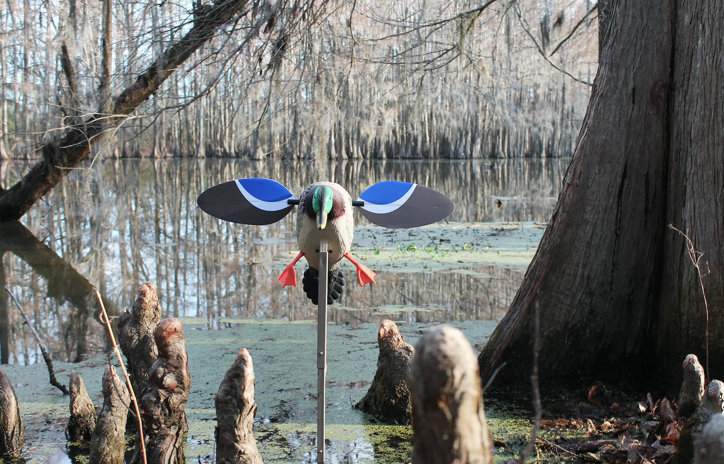 , HW4401, Baby Drake Decoy, Waterfowl Decoy, 3.5 Pounds Assembled