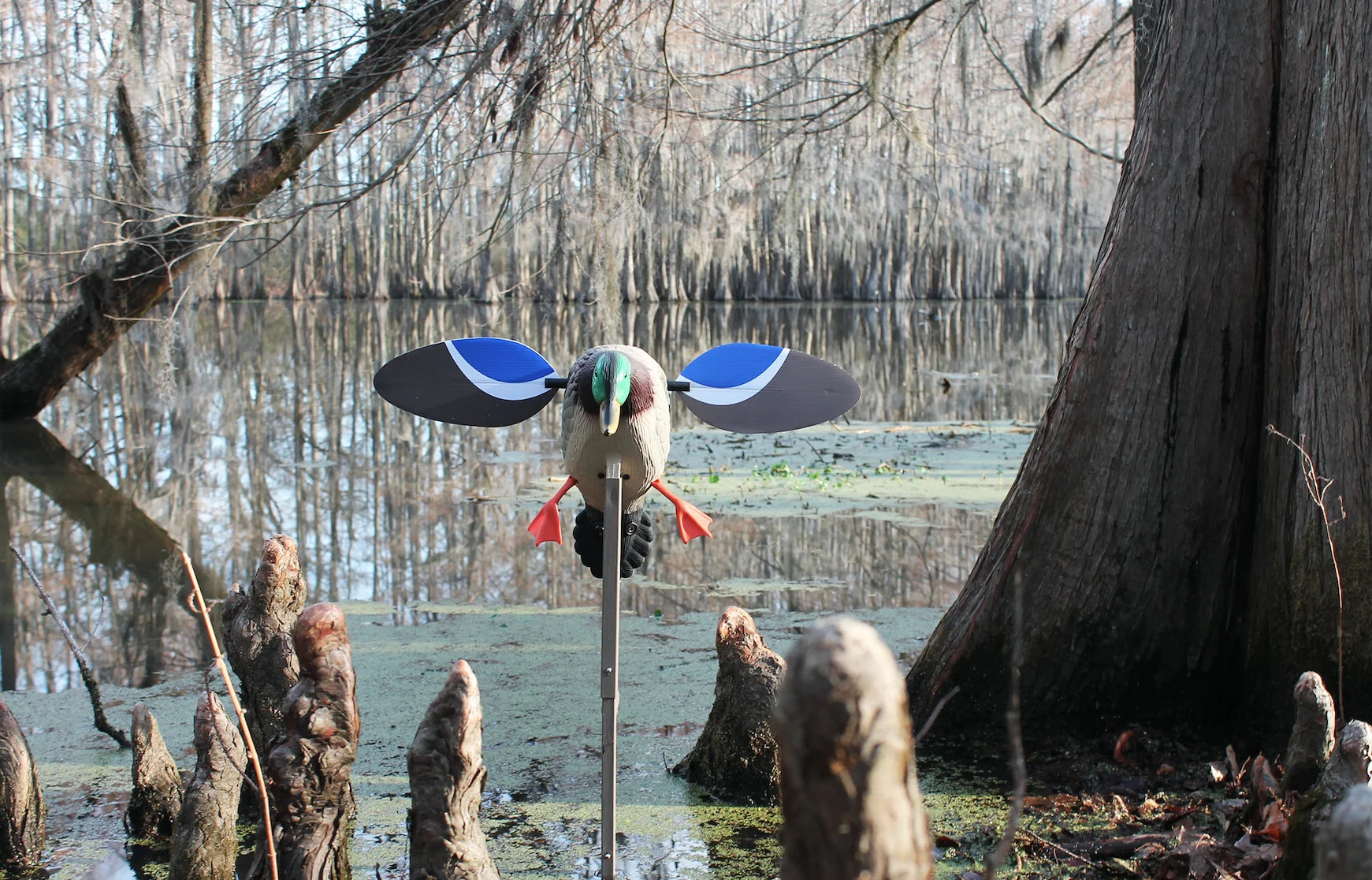 , HW4401, Baby Drake Decoy, Waterfowl Decoy, 3.5 Pounds Assembled
