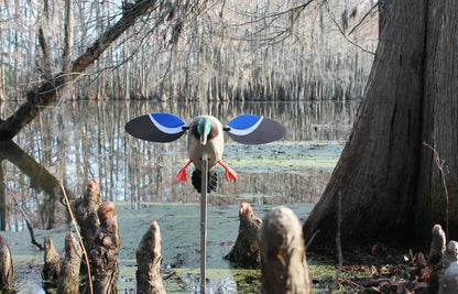, HW4401, Baby Drake Decoy, Waterfowl Decoy, 3.5 Pounds Assembled
