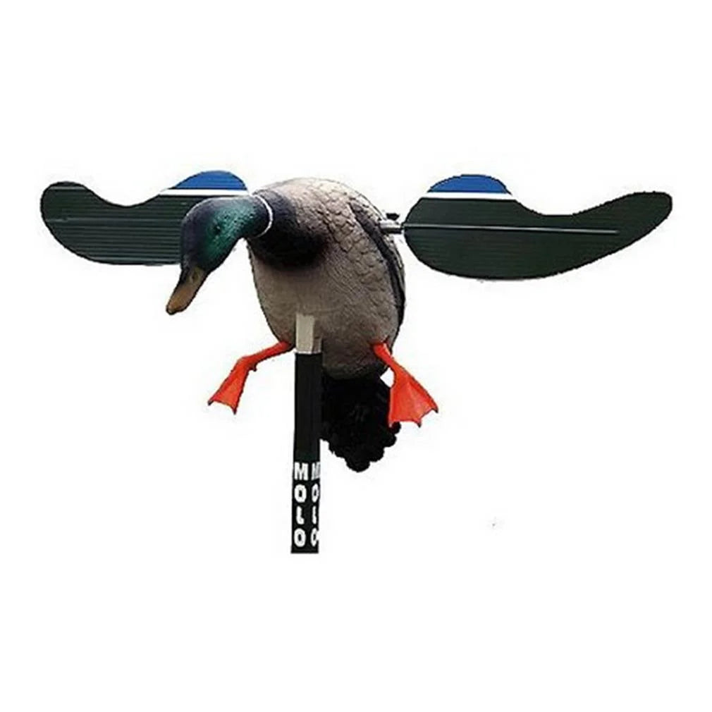 , HW4401, Baby Drake Decoy, Waterfowl Decoy, 3.5 Pounds Assembled