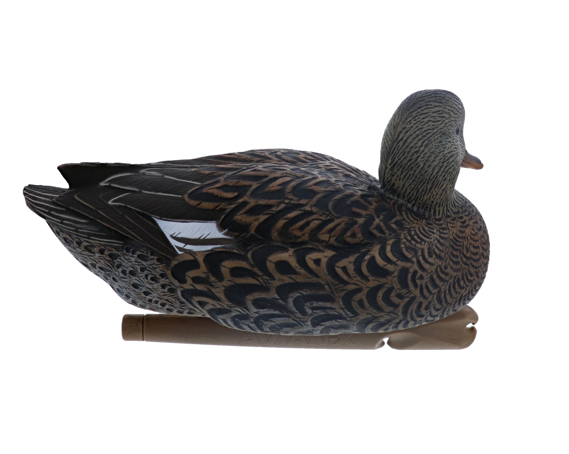 Avian X Top Flight Gadwall Duck Decoy, AVX8085