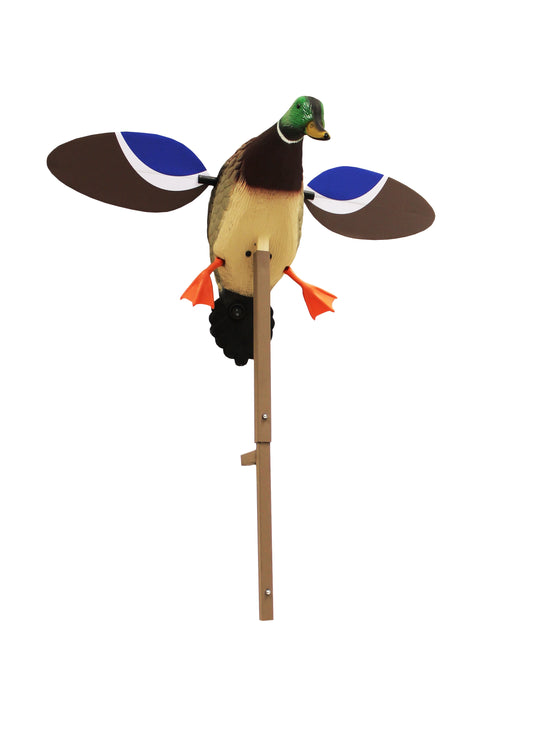 , HW4401, Baby Drake Decoy, Waterfowl Decoy, 3.5 Pounds Assembled