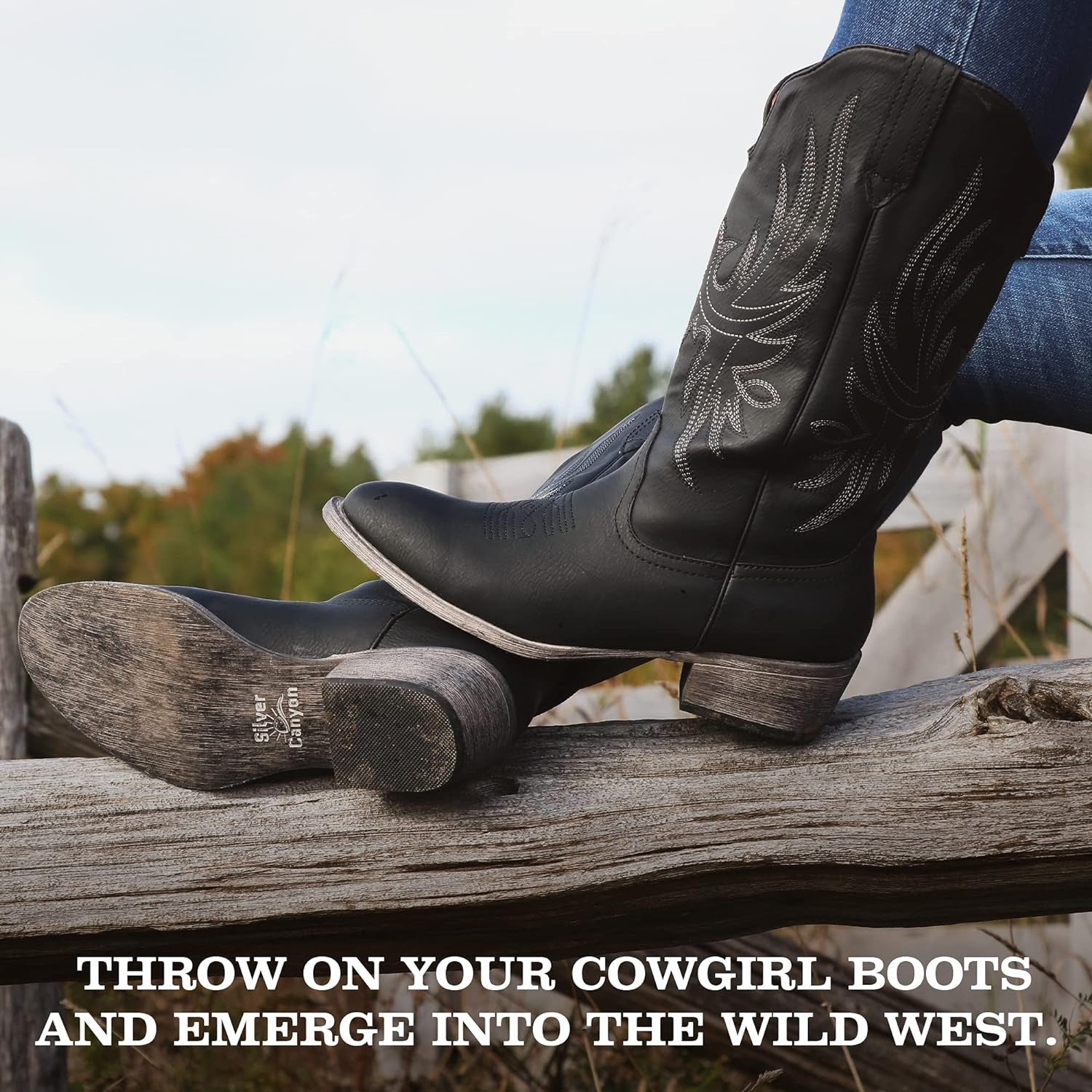 Womens Western Cowgirl Cowboy Boot, Dallas Pointed Toe by Silver Canyon