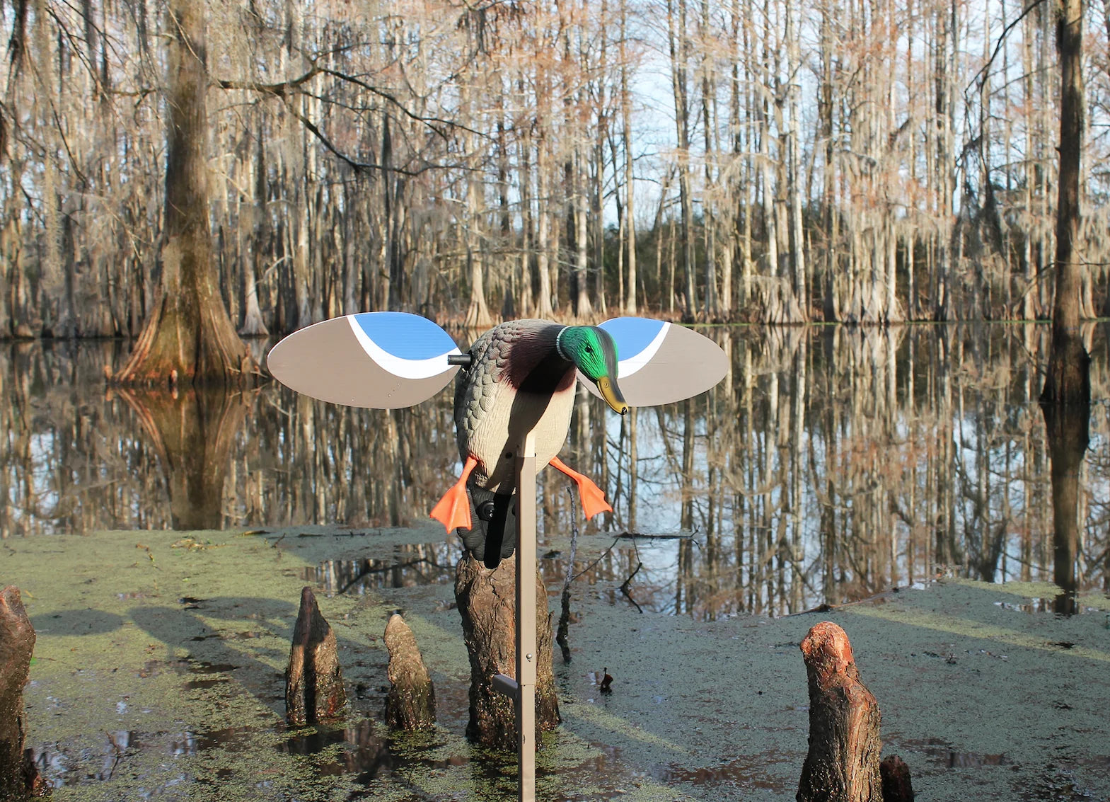 , HW4401, Baby Drake Decoy, Waterfowl Decoy, 3.5 Pounds Assembled