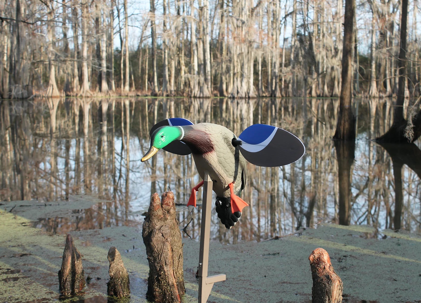 , HW4401, Baby Drake Decoy, Waterfowl Decoy, 3.5 Pounds Assembled