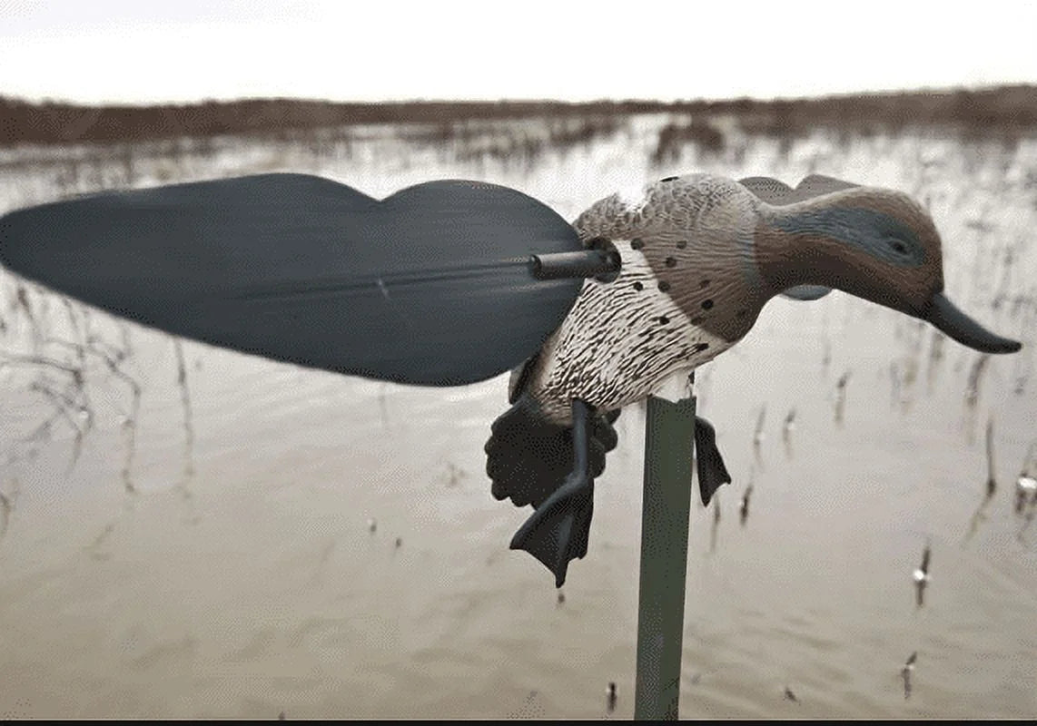 MOJO TEAL DECOY W/SUPPORT POLE