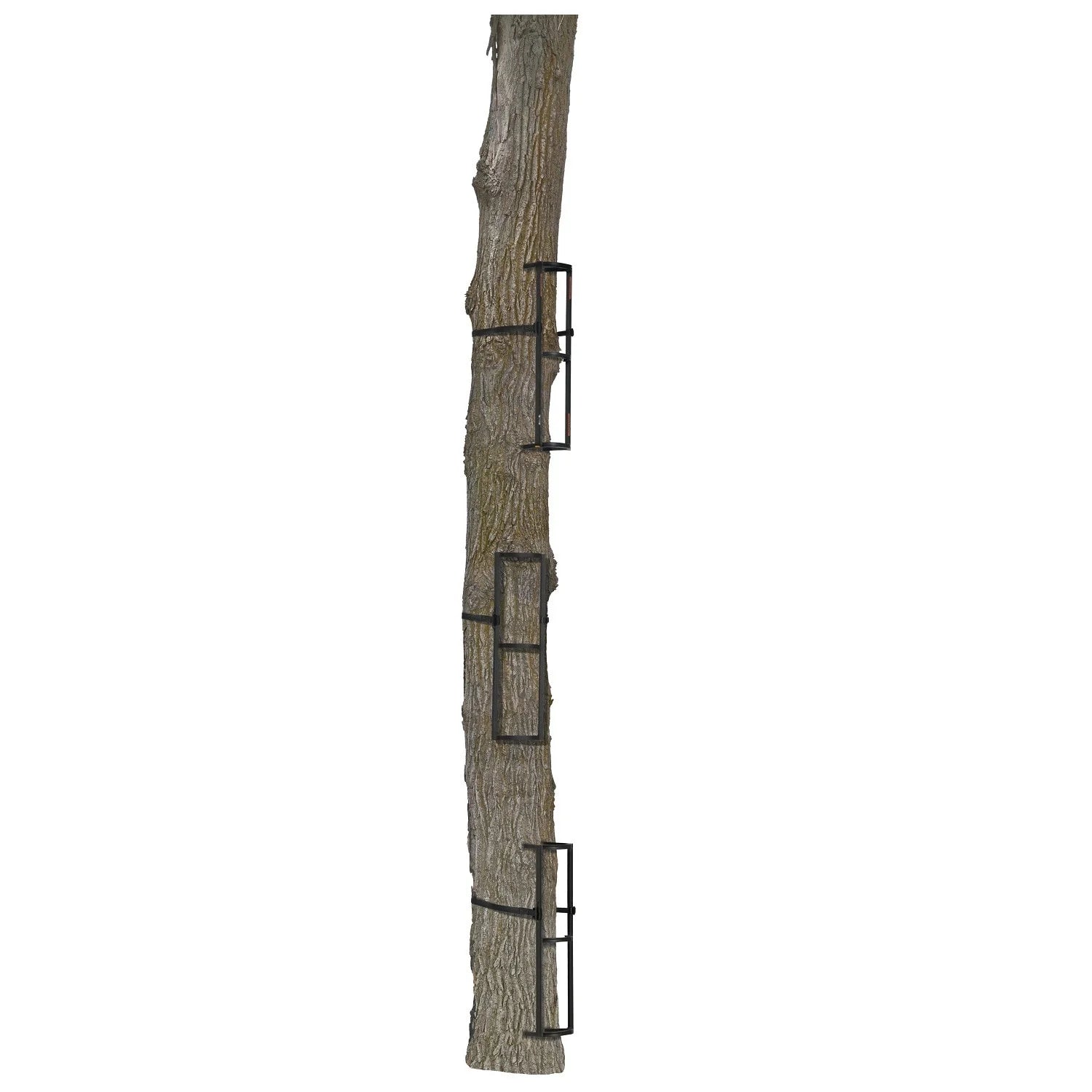 Outdoors Stagger Steps Packable Rock Solid Ladder System, Black